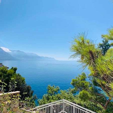 ميميتسا Adriatik Paradise المظهر الخارجي الصورة