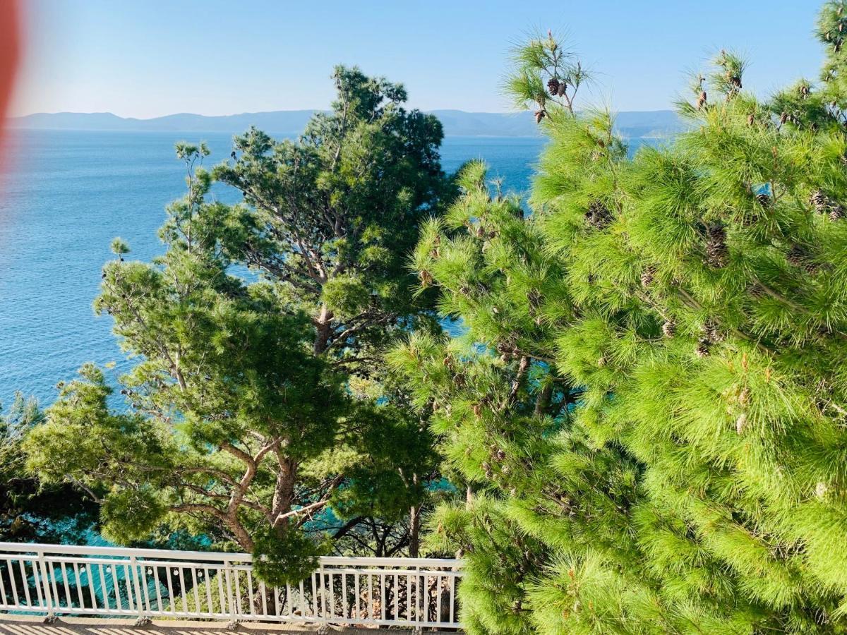 ميميتسا Adriatik Paradise المظهر الخارجي الصورة